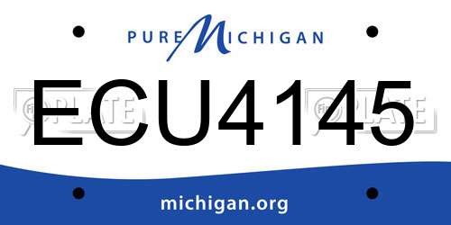 ECU4145 Michigan License Plate