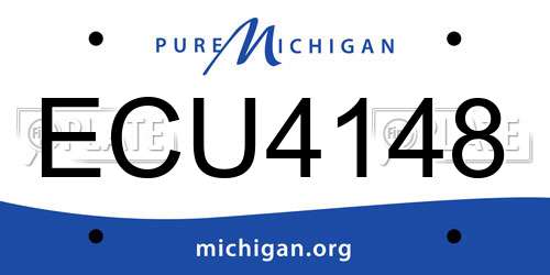 ECU4148 Michigan License Plate