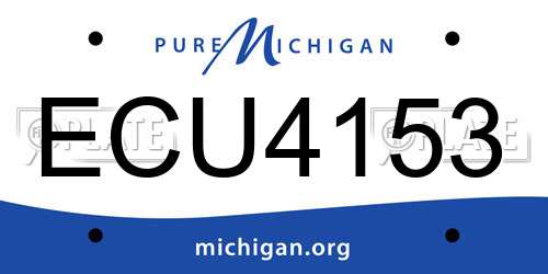 ECU4153 Michigan License Plate