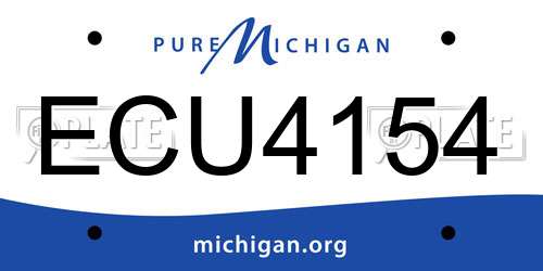 ECU4154 Michigan License Plate