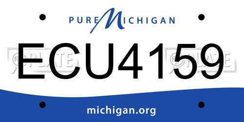 ECU4159 Michigan License Plate