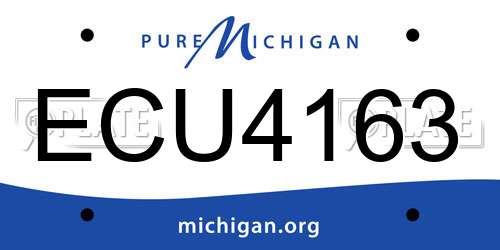 ECU4163 Michigan License Plate