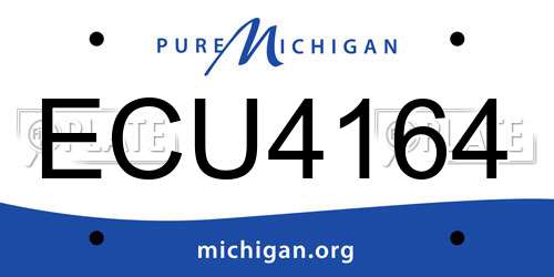 ECU4164 Michigan License Plate
