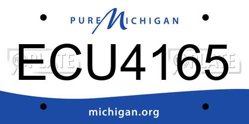 ECU4165 Michigan License Plate