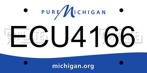 ECU4166 Michigan License Plate