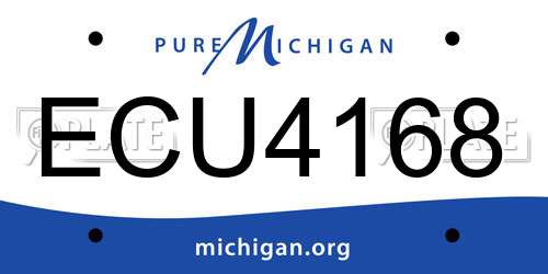 ECU4168 Michigan License Plate