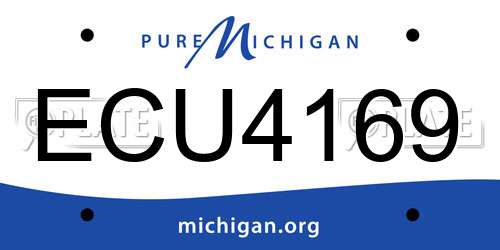 ECU4169 Michigan License Plate