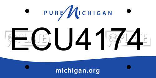 ECU4174 Michigan License Plate