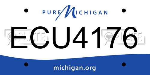 ECU4176 Michigan License Plate