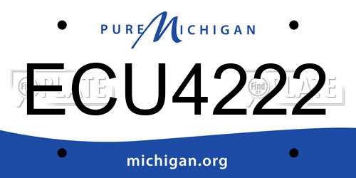 ECU4222 Michigan License Plate