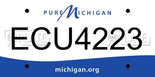 ECU4223 Michigan License Plate