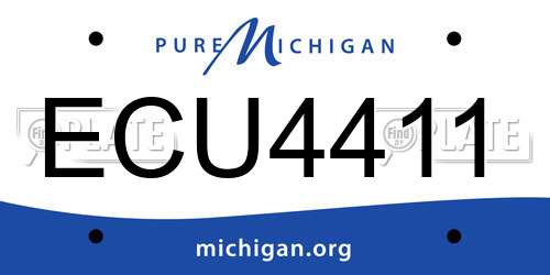 ECU4411 Michigan License Plate