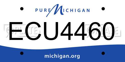 ECU4460 Michigan License Plate