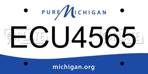ECU4565 Michigan License Plate
