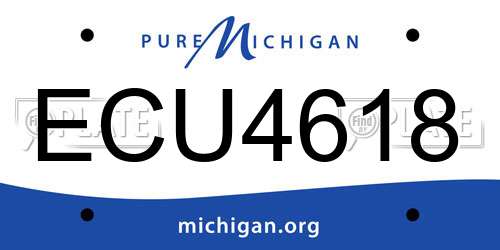 ECU4618 Michigan License Plate