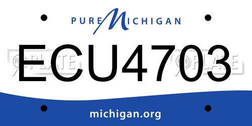 ECU4703 Michigan License Plate