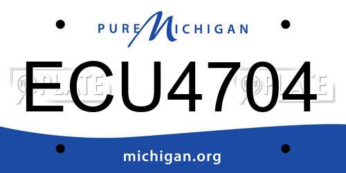 ECU4704 Michigan License Plate