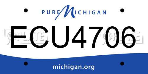 ECU4706 Michigan License Plate