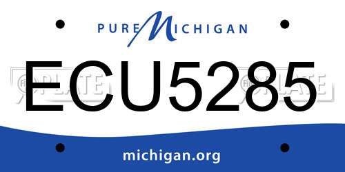 ECU5285 Michigan License Plate