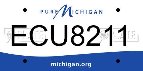 ECU8211 Michigan License Plate