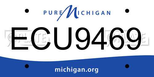 ECU9469 Michigan License Plate
