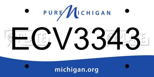 ECV3343 Michigan License Plate
