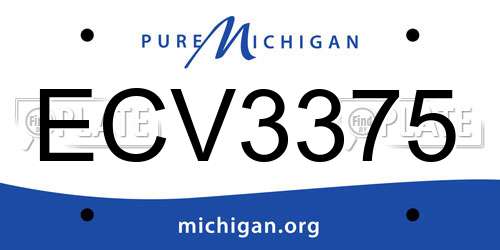 ECV3375 Michigan License Plate