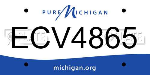 ECV4865 Michigan License Plate