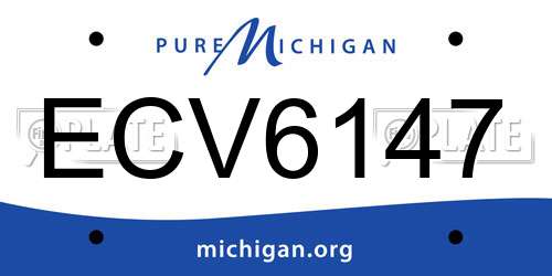 ECV6147 Michigan License Plate