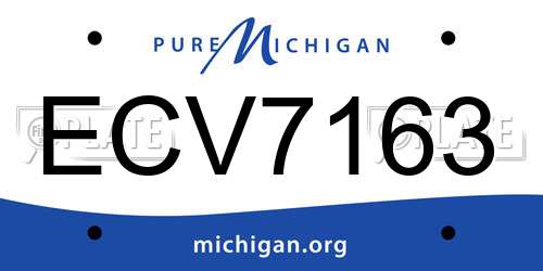 ECV7163 Michigan License Plate