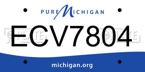 ECV7804 Michigan License Plate