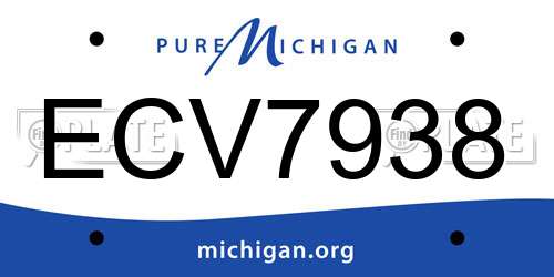 ECV7938 Michigan License Plate