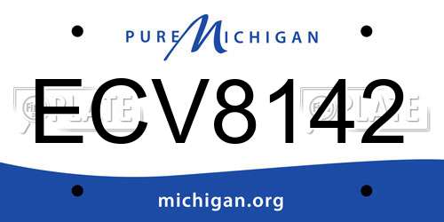 ECV8142 Michigan License Plate