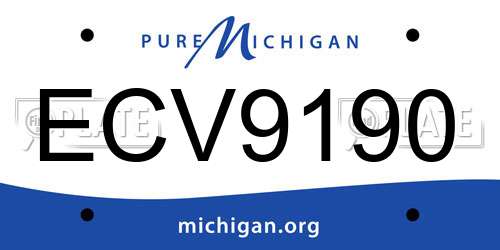 ECV9190 Michigan License Plate