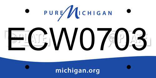 ECW0703 Michigan License Plate