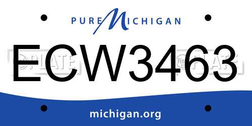 ECW3463 Michigan License Plate