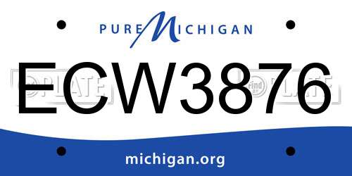 ECW3876 Michigan License Plate
