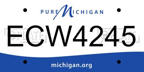 ECW4245 Michigan License Plate