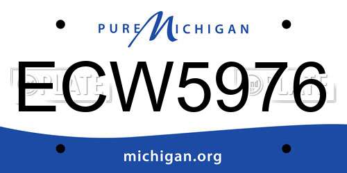 ECW5976 Michigan License Plate