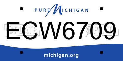 ECW6709 Michigan License Plate