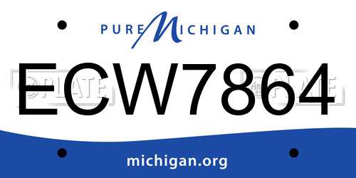 ECW7864 Michigan License Plate