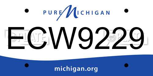 ECW9229 Michigan License Plate