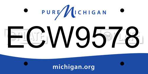 ECW9578 Michigan License Plate
