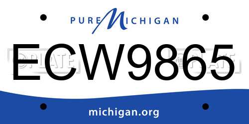 ECW9865 Michigan License Plate