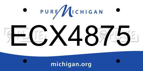 ECX4875 Michigan License Plate
