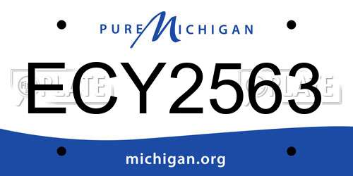 ECY2563 Michigan License Plate