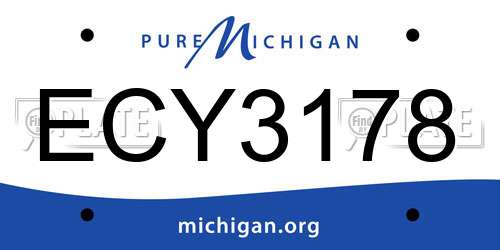 ECY3178 Michigan License Plate