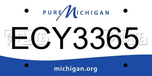 ECY3365 Michigan License Plate
