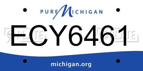 ECY6461 Michigan License Plate