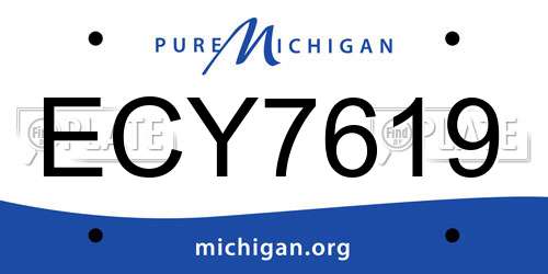 ECY7619 Michigan License Plate